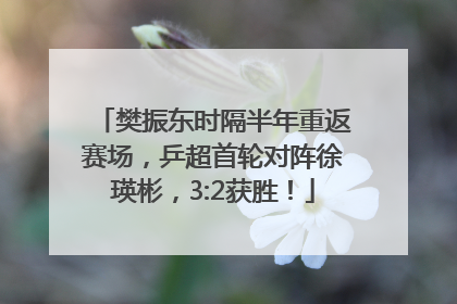 樊振东时隔半年重返赛场，乒超首轮对阵徐瑛彬，3:2获胜！