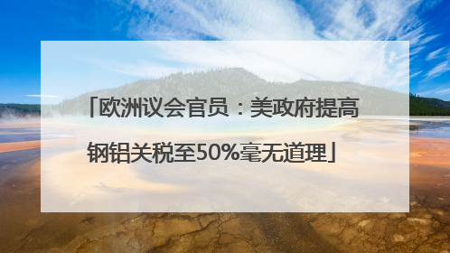 欧洲议会官员：美政府提高钢铝关税至50%毫无道理
