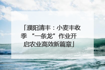 濮阳清丰：小麦丰收季 “一条龙”作业开启农业高效新篇章