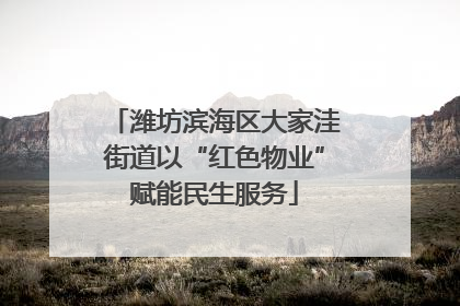 潍坊滨海区大家洼街道以“红色物业”赋能民生服务