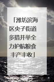 潍坊滨海区央子街道多措并举全力护航粮食丰产丰收