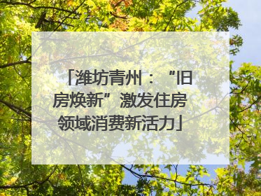 潍坊青州：“旧房焕新”激发住房领域消费新活力