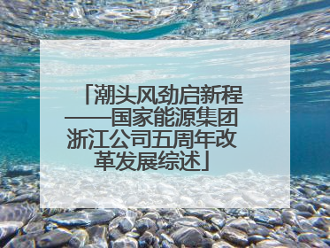 潮头风劲启新程——国家能源集团浙江公司五周年改革发展综述