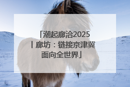 潮起廊洽2025丨廊坊：链接京津冀 面向全世界