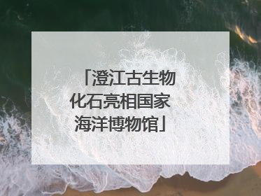 澄江古生物化石亮相国家海洋博物馆