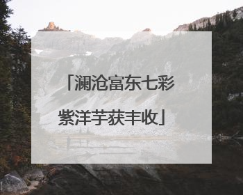 澜沧富东七彩紫洋芋获丰收