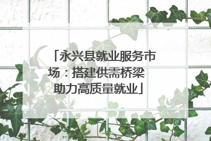 永兴县就业服务市场：搭建供需桥梁 助力高质量就业