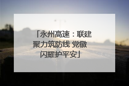永州高速：联建聚力筑防线 党徽闪耀护平安