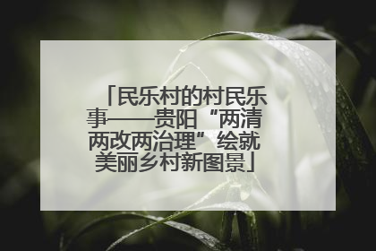 民乐村的村民乐事——贵阳“两清两改两治理”绘就美丽乡村新图景