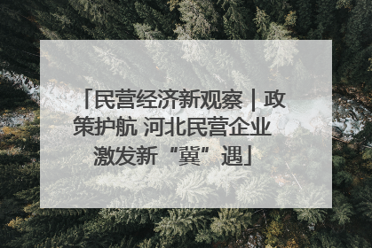 民营经济新观察｜政策护航 河北民营企业激发新“冀”遇