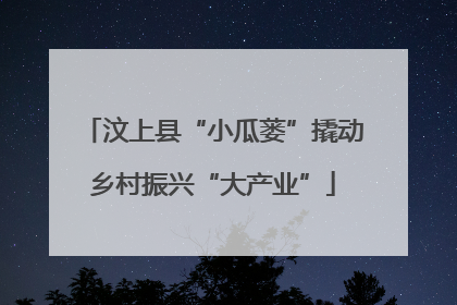 汶上县“小瓜蒌”撬动乡村振兴“大产业”