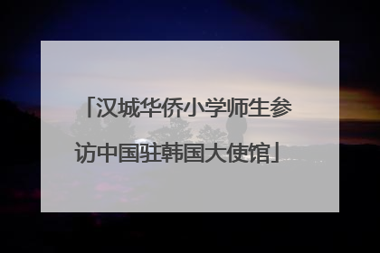 汉城华侨小学师生参访中国驻韩国大使馆