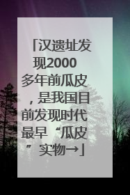 汉遗址发现2000多年前瓜皮，是我国目前发现时代最早“瓜皮”实物→