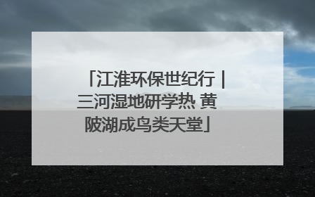 江淮环保世纪行｜三河湿地研学热 黄陂湖成鸟类天堂
