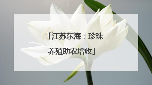 江苏东海：珍珠养殖助农增收