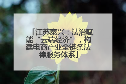 江苏泰兴：法治赋能“云端经济”，构建电商产业全链条法律服务体系