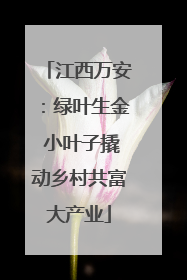 江西万安：绿叶生金 小叶子撬动乡村共富大产业