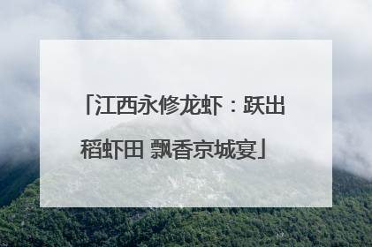 江西永修龙虾：跃出稻虾田 飘香京城宴
