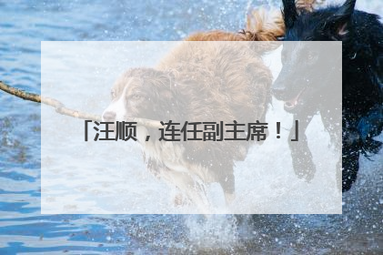 汪顺，连任副主席！