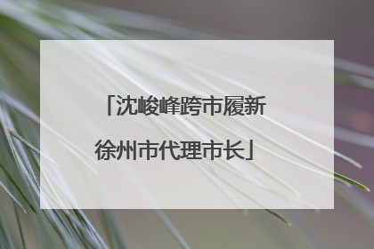 沈峻峰跨市履新徐州市代理市长