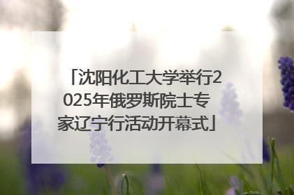沈阳化工大学举行2025年俄罗斯院士专家辽宁行活动开幕式