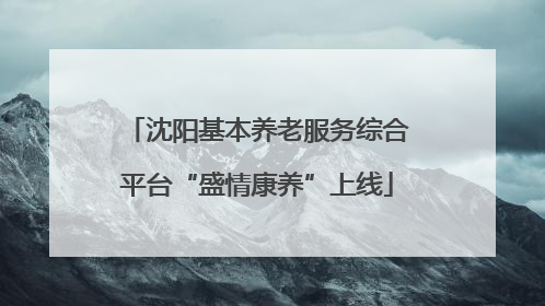 沈阳基本养老服务综合平台“盛情康养”上线