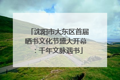 沈阳市大东区首届晒书文化节盛大开幕：千年文脉遇书