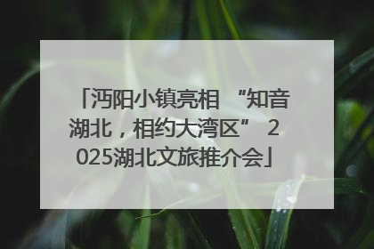 沔阳小镇亮相 “知音湖北，相约大湾区” 2025湖北文旅推介会