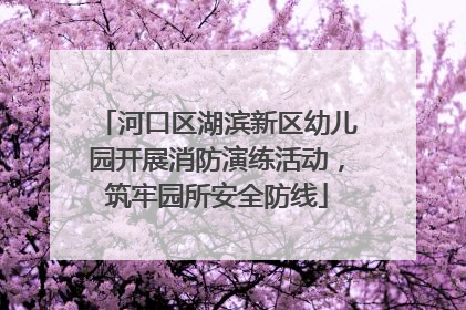 河口区湖滨新区幼儿园开展消防演练活动，筑牢园所安全防线