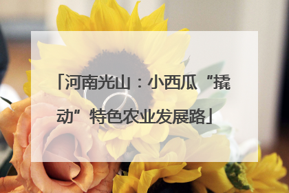 河南光山：小西瓜“撬动”特色农业发展路