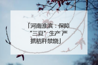 河南淮滨：保障“三夏”生产 严抓秸秆禁烧