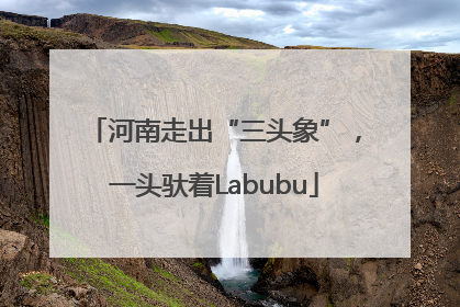 河南走出“三头象”，一头驮着Labubu