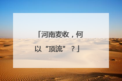 河南麦收，何以“顶流”？