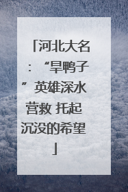 河北大名：“旱鸭子”英雄深水营救 托起沉没的希望