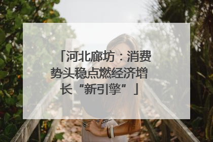 河北廊坊：消费势头稳点燃经济增长“新引擎”