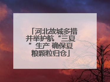河北故城多措并举护航“三夏”生产 确保夏粮颗粒归仓