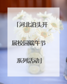 河北泊头开展校园端午节系列活动