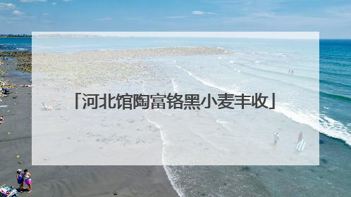 河北馆陶富铬黑小麦丰收