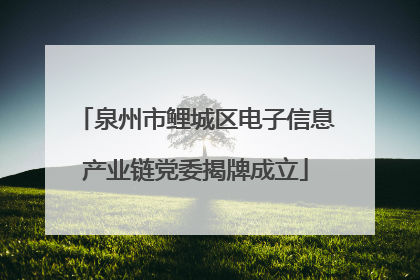 泉州市鲤城区电子信息产业链党委揭牌成立