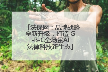 法保网：品牌战略全新升级，打造 G-B-C全场景AI法律科技新生态