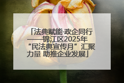 法典赋能·政企同行——锦江区2025年“民法典宣传月”汇聚力量 助推企业发展
