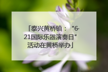 泰兴黄桥镇：“6·21国际乐器演奏日”活动在黄桥举办