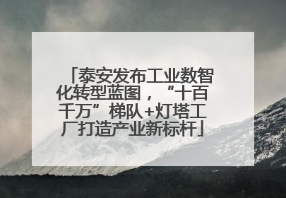 泰安发布工业数智化转型蓝图，“十百千万”梯队+灯塔工厂打造产业新标杆