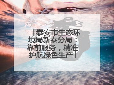 泰安市生态环境局新泰分局：靠前服务，精准护航绿色生产