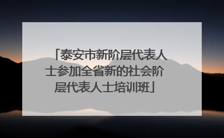 泰安市新阶层代表人士参加全省新的社会阶层代表人士培训班