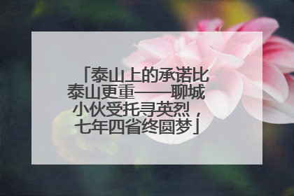泰山上的承诺比泰山更重——聊城小伙受托寻英烈，七年四省终圆梦