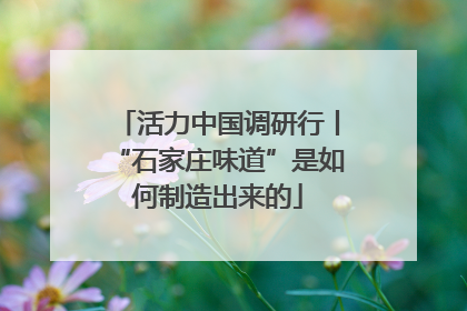 活力中国调研行丨“石家庄味道”是如何制造出来的