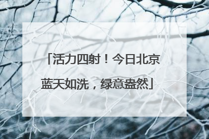活力四射！今日北京蓝天如洗，绿意盎然