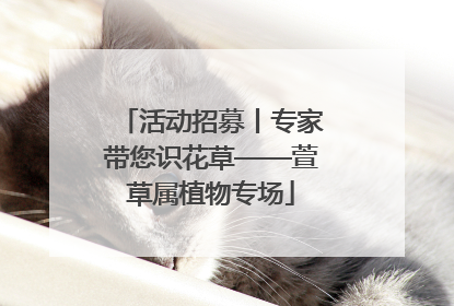 活动招募丨专家带您识花草——萱草属植物专场
