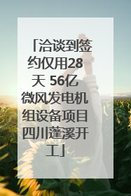 洽谈到签约仅用28天 56亿微风发电机组设备项目四川蓬溪开工